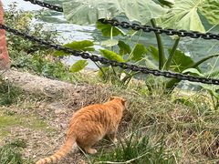 -成都市活水公园