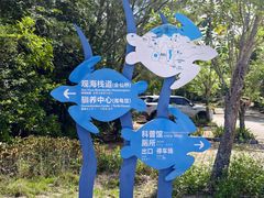 -广东惠东海龟国家级自然保护区