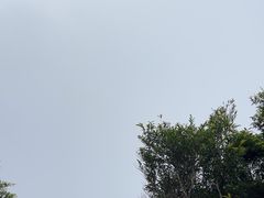 -海南铜鼓岭景区