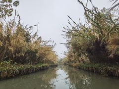 -沙家浜风景区