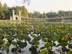 -东湖落雁景区