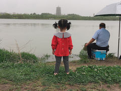 -灞河西岸滨河公园