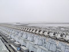 -南汇嘴观海公园