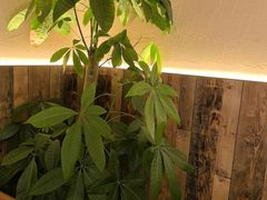 -慢丽江·云南野生菌土鸡锅(付家庄店)