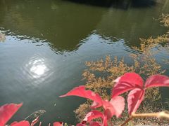 -黑龙潭风景区