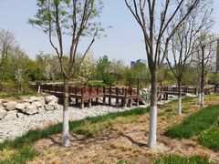 -莲花池公园