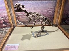 -国家自然博物馆