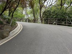 -天秀花园古月园