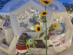 -天空花园餐吧·生日·团建(南山店)