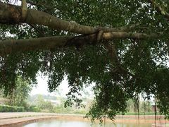 -侯臣咖啡文化村