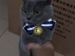 -安安宠医·臻爱宠物医院(簇锦北路分院)