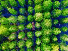 -泗洪洪泽湖湿地景区