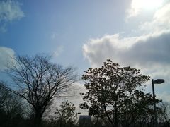 -白塘生态植物园