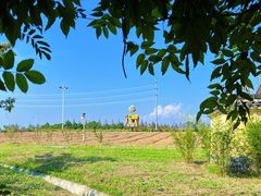 -杭州湾海上花田景区