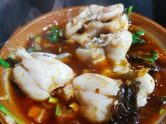 -费明中罗非鱼(大石坝店)