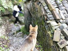 -上甘棠村