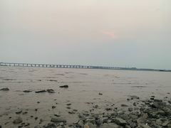 -宝安西湾红树林湿地公园