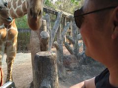 -清迈夜间动物园