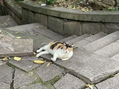 -青桃餐厅
