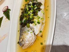 -老绍兴养和饭店(向阳不夜城店)