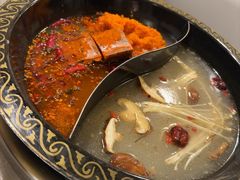 -小志家.野生菌鲜切牦牛肉牛杂火锅