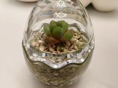 -金海湾海鲜总店