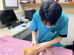 -动物缘宠物医院·骨科·猫科(西二环店)