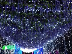 -长春公园(普阳街道)