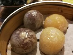 -金燕岛潮州酒楼