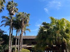 -昆明柏联SPA温泉