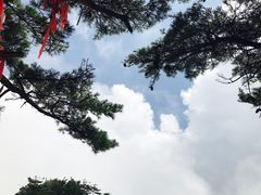 -秦岭天竺山景区