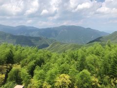 -江南天池
