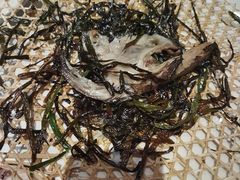 -老吉士(环贸iapm店)