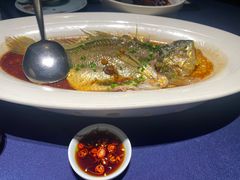 雪菜蒸大黄鱼-维园悦谱·海派家常菜(乌鲁木齐南路店)