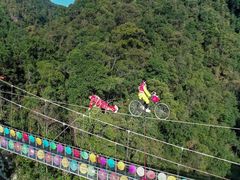 -九龙江国家森林公园