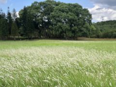 -福建鲤鱼洲酒店