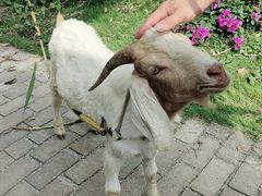 -田园寨农园观光园