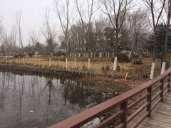 -绿堤公园