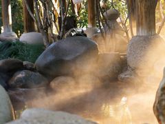 -张家港金凤凰度假村温泉