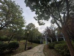 -宝界山林公园