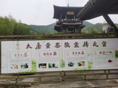 -大唐贡茶院