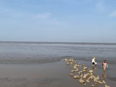 -南汇嘴观海公园