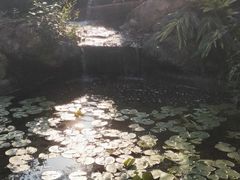 -晓港公园