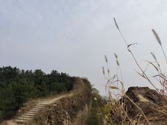 -蟠龙山长城景区