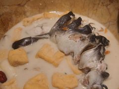 -云海肴云南菜·蒸汽石锅鱼(青岛万象城店)