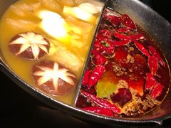 花胶鸡汤锅底-湊湊火锅·茶憩(新中关购物中心店)