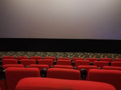 -武汉华夏国际影城(鲁广店)