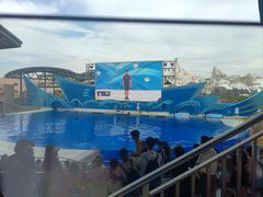 -上海海昌海洋公园