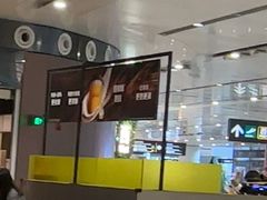 -麦当劳(北京大兴机场二层国内到达(安检外)店)