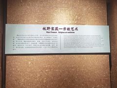 -平原博物院